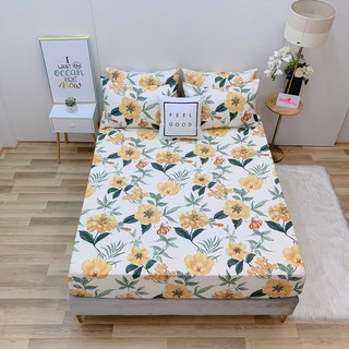 8.ga gối lẻ cotton lụa