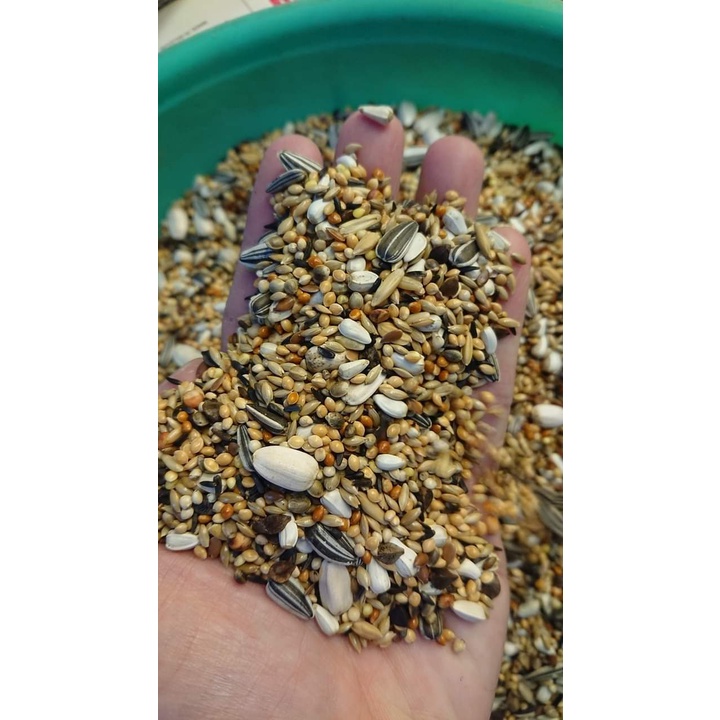 Hạt trộn vẹt size nhỏ: lb, cockatiel, gc ...