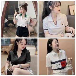 Áo polo nữ cổ V đen trắng, áo polo trắng phối cổ xanh cho nữ