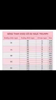 Áo ngực Triumph Maximizer 274 Whu