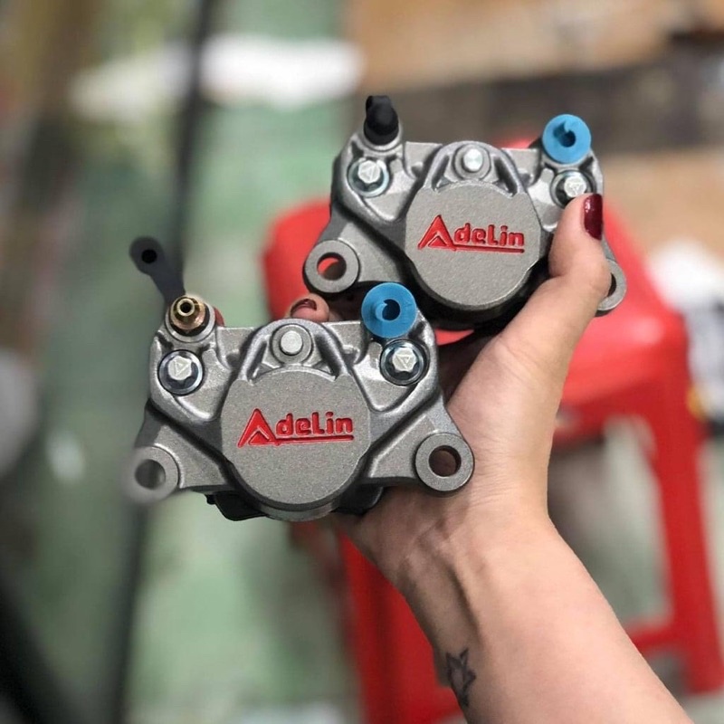 Heo Adelin 2 pis chính hãng