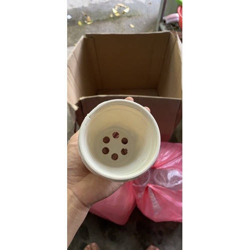 chậu treo mini kèm móc treo
