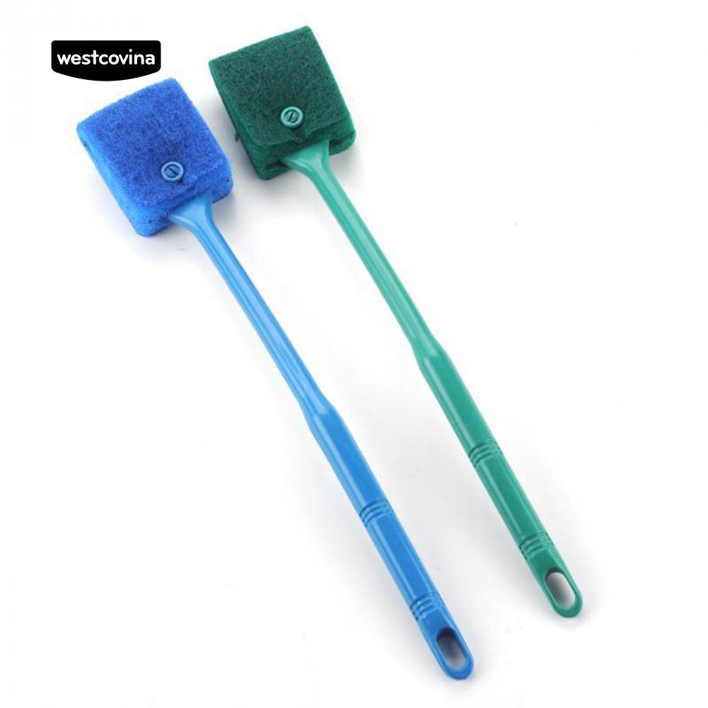 Cây vệ sinh kính hồ cá