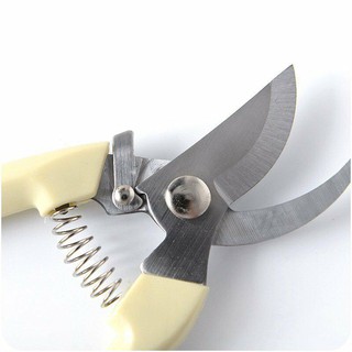 Kéo cắt tỉa cây cảnh, cắt cành cây thép không gỉ (Ảnh thật)