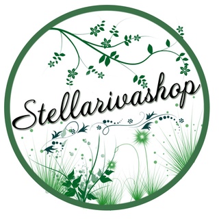 Trang Trí Tiểu Cảnh_StellaRiva