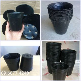 Túi ươm trồng cây / bầu ươm nilon màu đen