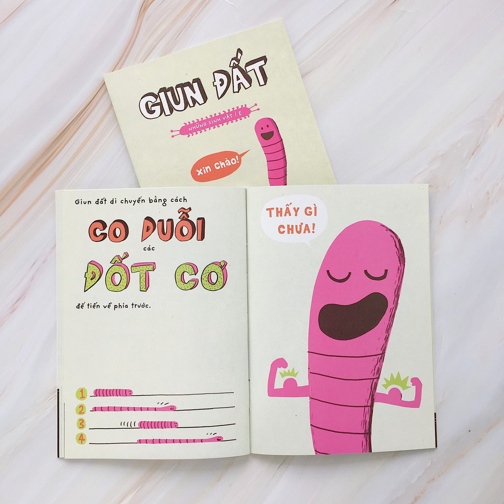 Sách - Những sinh vật í ẹ - Giun đất - Nhận biết con vật cho bé - Khoa học vui nhộn - Crabit Kidbooks