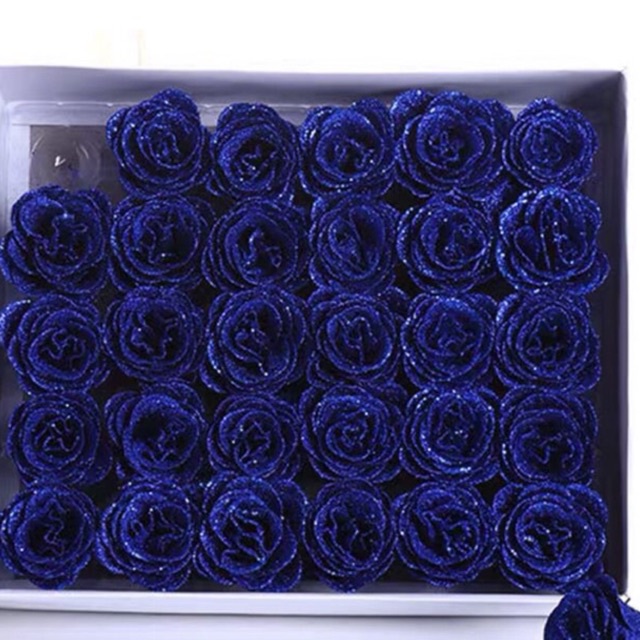 Sỉ Hoa nhũ hộp 30 bông