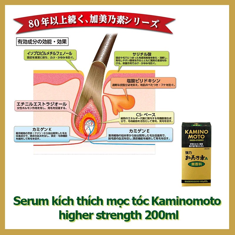 Serum kích thích mọc tóc Kaminomoto Higher Strength 200ml nội địa Nhật