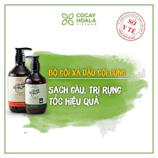 Dầu gội gừng