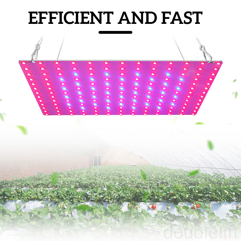 LED Grow Light Red Blue Spectrum Growing Lamp Plants Panel Lighting for Indoor Seedling US Plug doublelift store