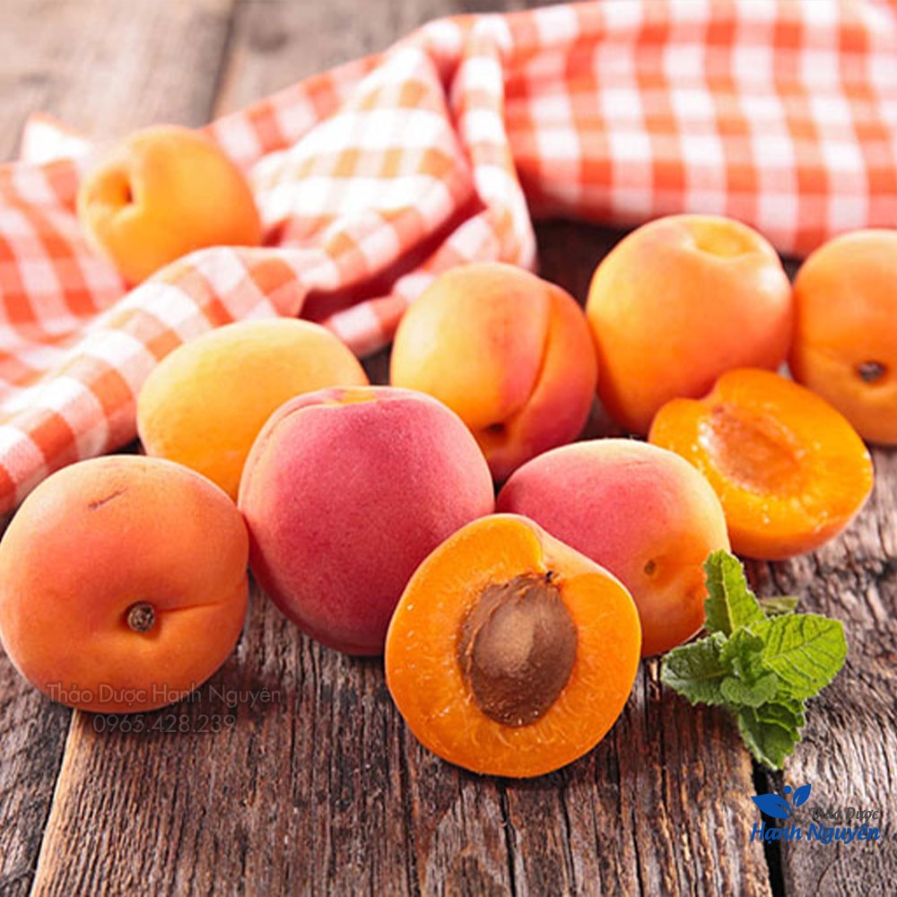 Ô mai mơ nho gừng chua ngọt 100g (Đồ ăn vặt, đặc sản Hà Nội, xí muội) - Thảo Dược Hạnh Nguyên