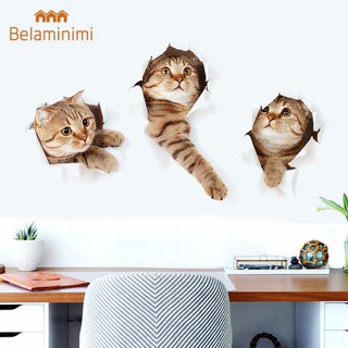 Decal dán tường hình mèo 3D dễ thương