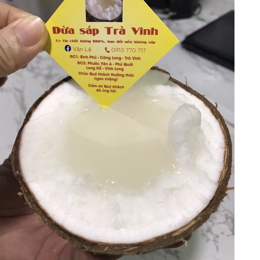 Dừa sáp Trà Vinh tại vườn loại đặc biệt