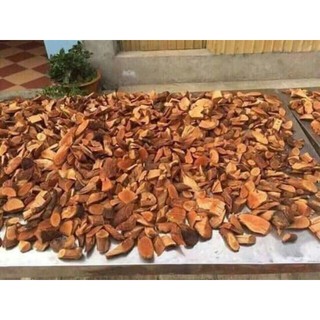 Cây Mú Từn