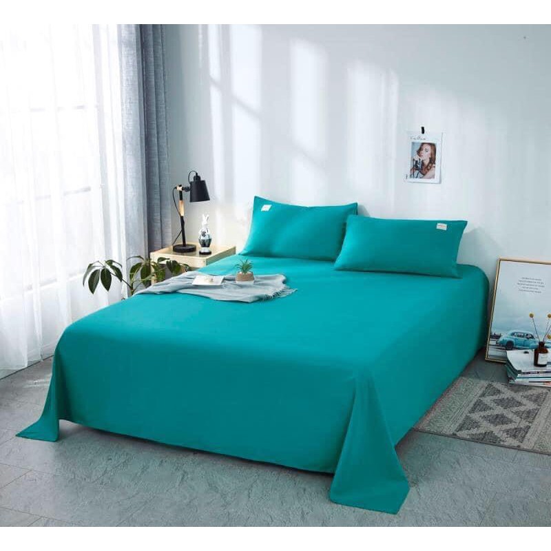 [SOUL.BEDDING] BỘ GA + GỐI LẺ COTTON TICI