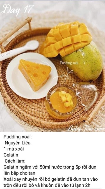 Khuôn silicon hình phô mai làm pudding/thạch/món phụ cho bé