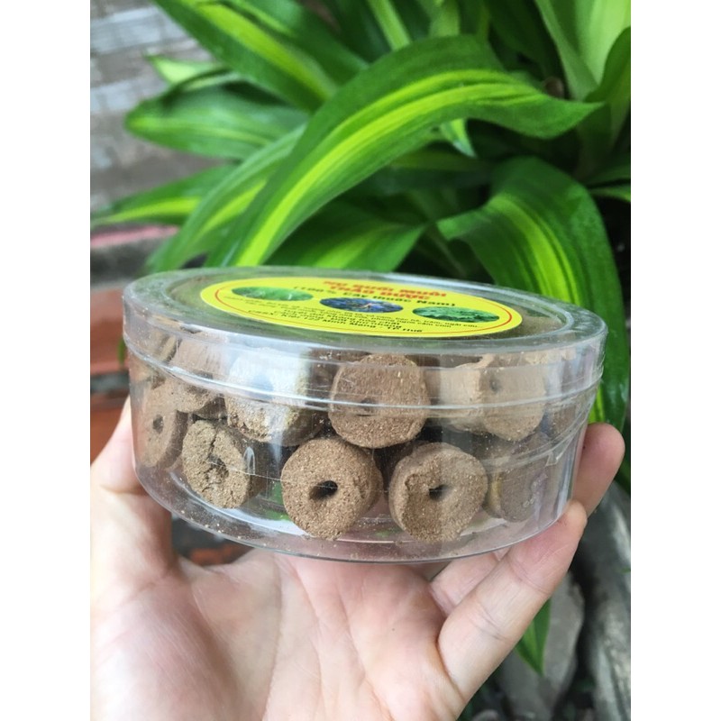 Trầm nụ đuổi muỗi thiên nhiên