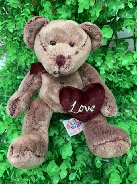 Gấu bông teddy lông 2 da màu lạ