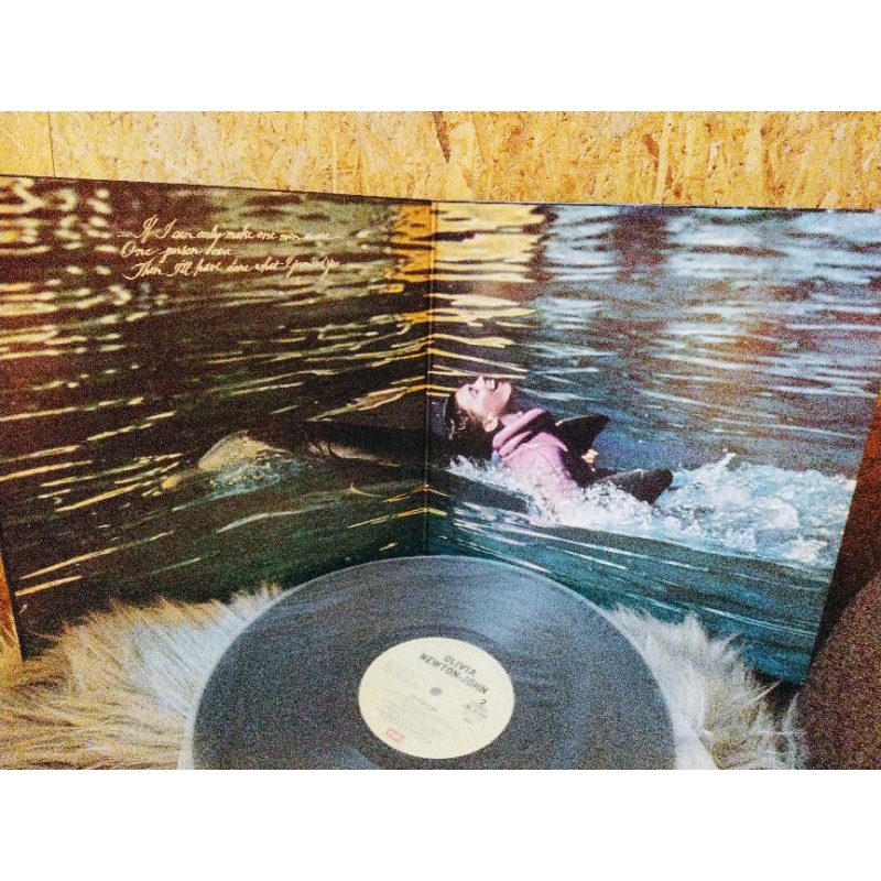 Đĩa than vinyl nhạc Pop