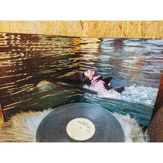 Đĩa than vinyl nhạc Pop