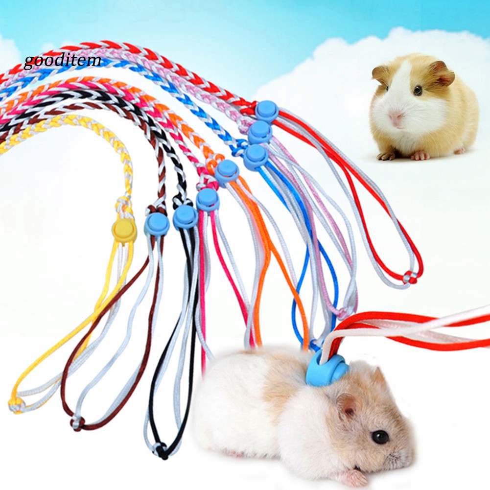 Dây dắt hamster/thỏ/vật nuôi nhỏ 1.4/2m có thể điều chỉnh màu sắc ngẫu nhiên