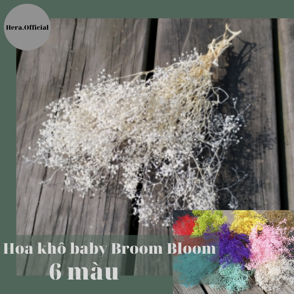 Hoa khô Broom bloom 10gram trang trí nhà cửa phòng makeup decor thiệp quà tặng