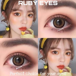 Lens nâu đen giãn tròng to không độ (Lens sử dụng 12 tháng) kèm khay