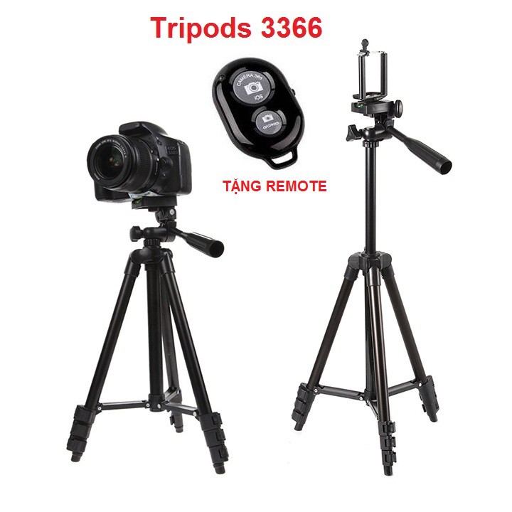 Tripods máy Ảnh, Giá Đỡ Điện Thoại 3366 Cao 1m5 Chắc Chắn - Tặng Kẹp Điện Thoại Và Remote Bluetooth