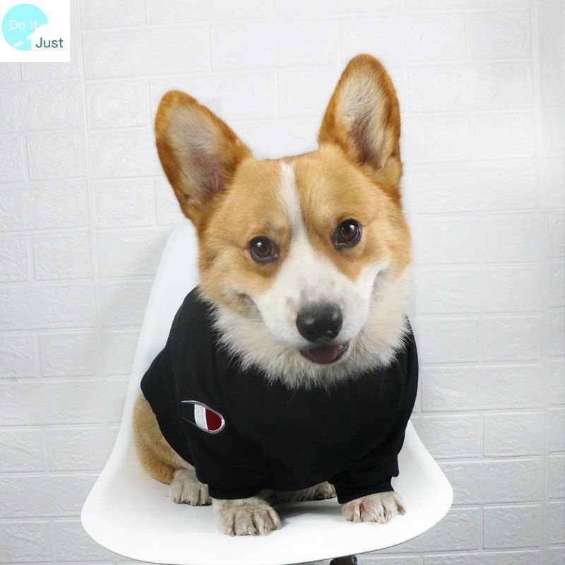 Áo Giữ Ấm Cho Thú Cưng Chó Corgi Kích Thước Vừa / Nhỏ