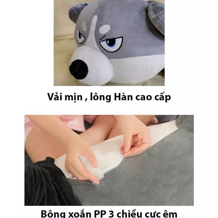 Thú nhồi bông chó husky siêu to khổng lồ TINA quà tặng sinh nhật dễ thương