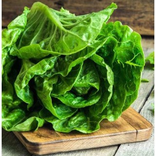 Hạt giống xà lách Romain xanh - 0.2gr