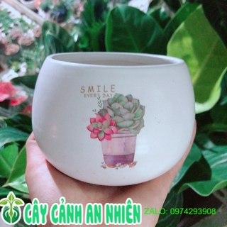 Chậu Trồng Cây