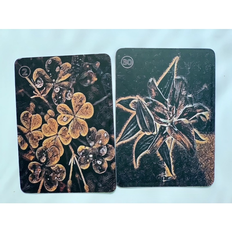 Bộ bài Dreaming Lenormand size 6x9cm