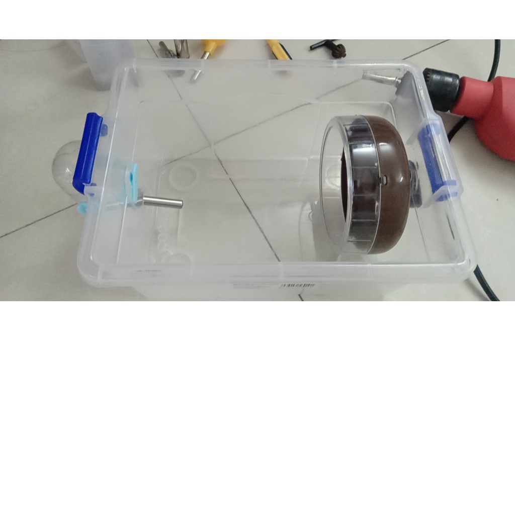 Hộp chữ nhật xách tay cute cho thú nhỏ