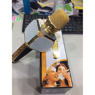 mic kèm loa cao cấp sd10