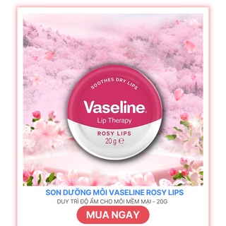 Dưỡng môi Vaseline Lip Therapy Rose 20g