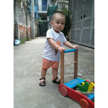Xe tập đi bằng gỗ cho bé