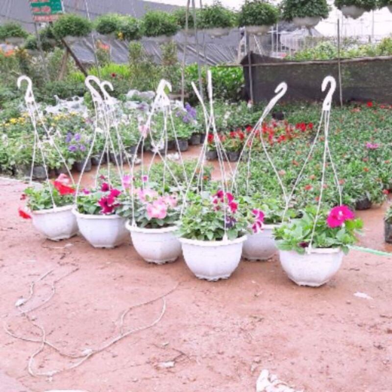 Chậu treo.kẹp kích thước 22x15cm nhiều màu kèm dây treo