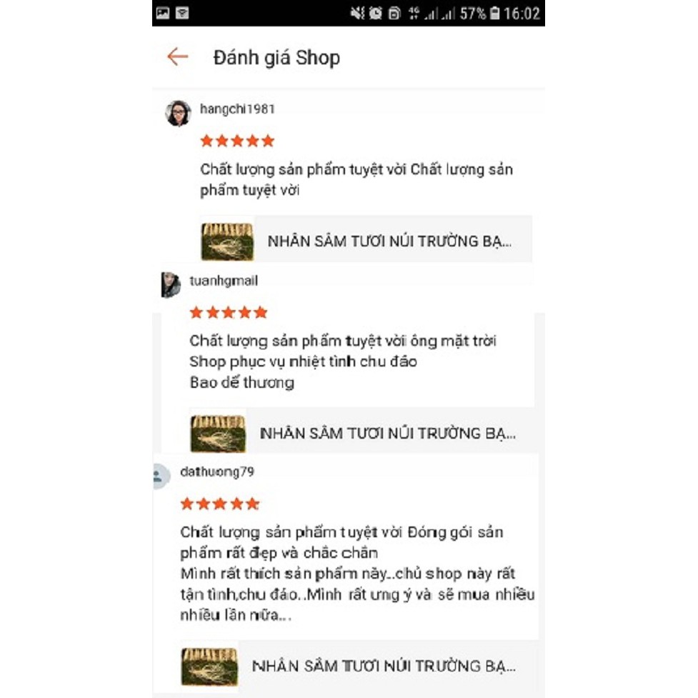 [FREESHIP 99K TOÀN QUỐC]SÂM TƯƠI NÚI TRƯỜNG BẠCH 100G | BigBuy360 - bigbuy360.vn