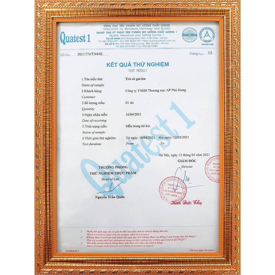 Trà cà gai leo túi lọc xạ đen, giải độc gan, giải rượu, bảo vệ gan, trà thảo dược lên men gia tăng hiệu quả.