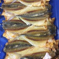 Cá chỉ vàng nha trang 500g