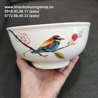 tô sứ trắng ăn cơm - tô sứ ăn cơm