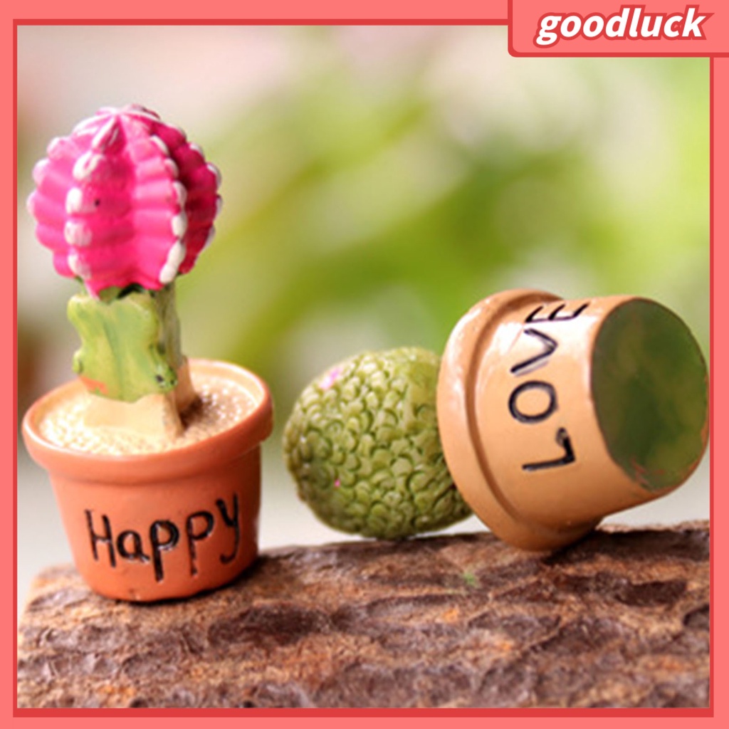 Mô hình cây mọng nước mini trang trí sân vườn DIY