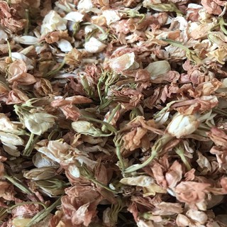 Hoa Lài (Nhài) Sấy Khô