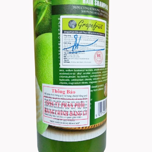 COMBO CẶP DẦU GỘI DẦU XẢ BƯỞI GRAPEFRUIT 850ML TẶNG 01 XỊT MỌC TÓC BƯỞI XANH
