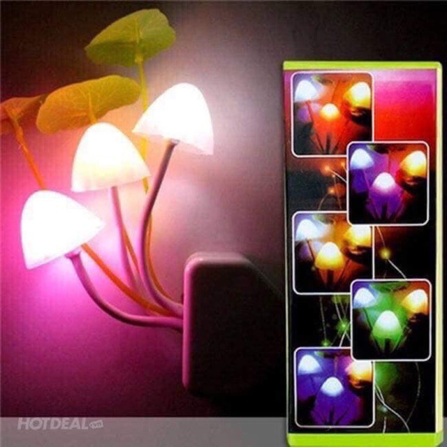 Đèn ngủ cây nấm Hoadien1