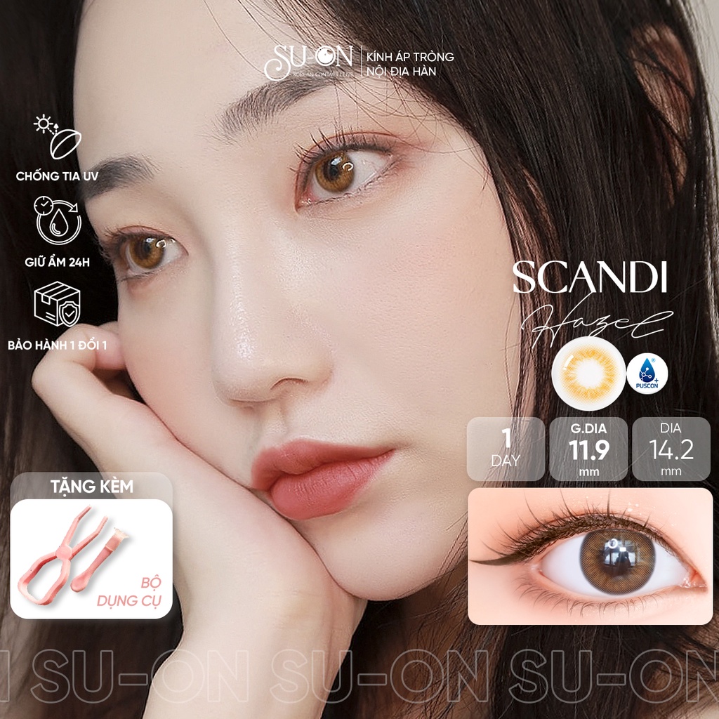 Lens 1 ngày Olens SCANDI GRAY/HAZEL áp tròng 14,2mm, xám tây long lanh Hàn Quốc, siêu êm đeo 24h