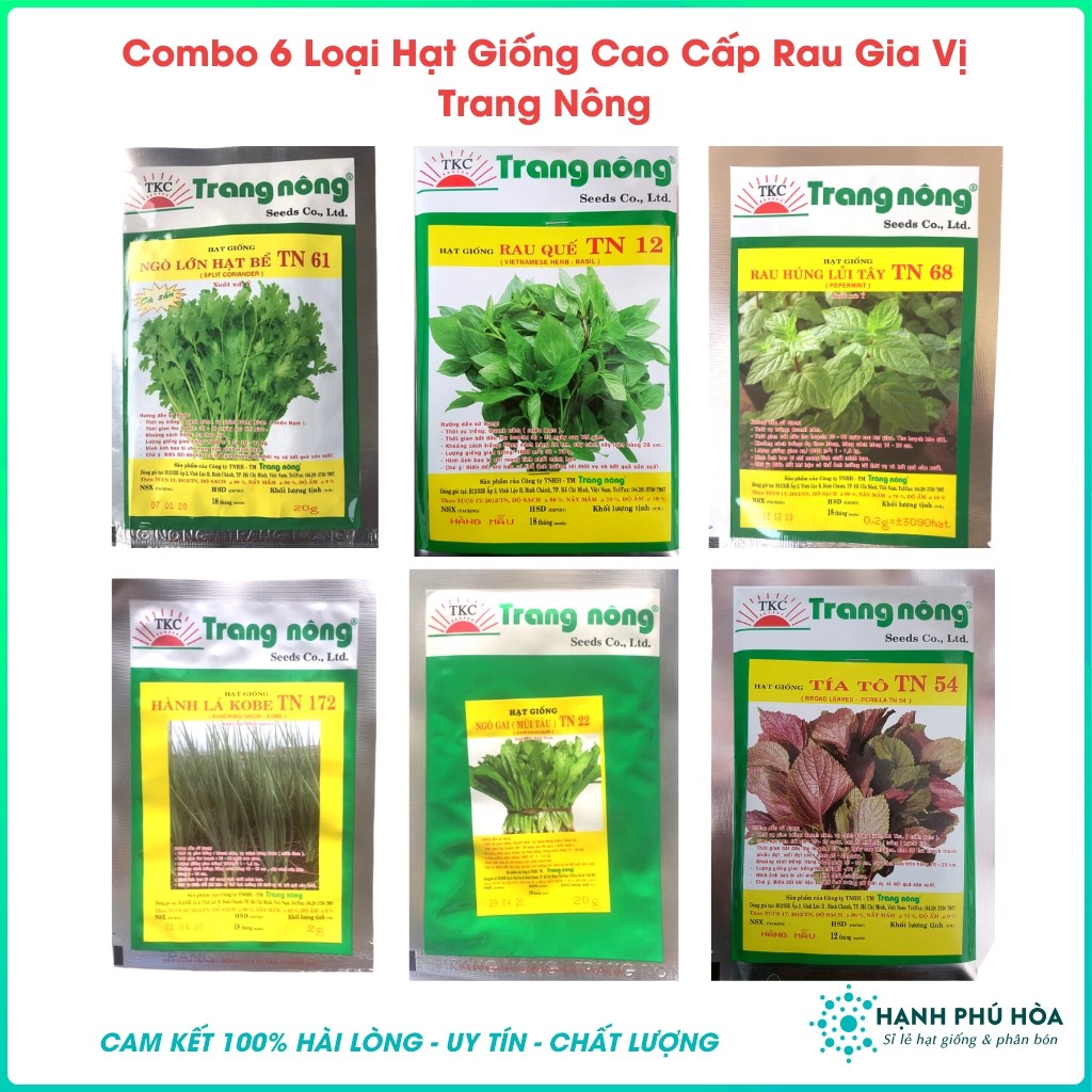 Bộ Gói Hạt Giống Cây Húng Tây