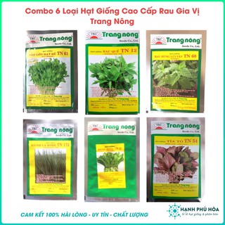 Bộ 6 Gói Hạt Giống Cao Cấp TN-Bí Ngò Lớn Hạt Bể 20g,Rau Quế 10g,Rau Húng Lủi Tây 0.2g,Hành Lá 2g, Ngò Gai 20g,Tía Tô 1g